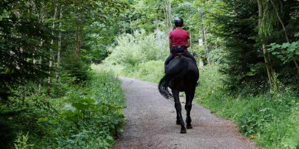 Horseback Riding in Bear Lake
