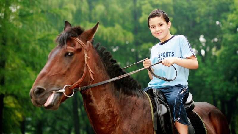 A young boy riding a horse with greenery in the background.