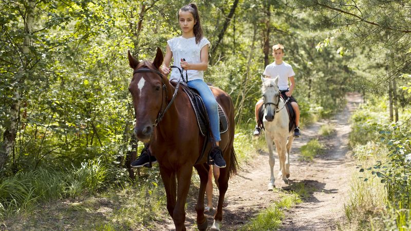 Two young people on horses riding through a forest trail.