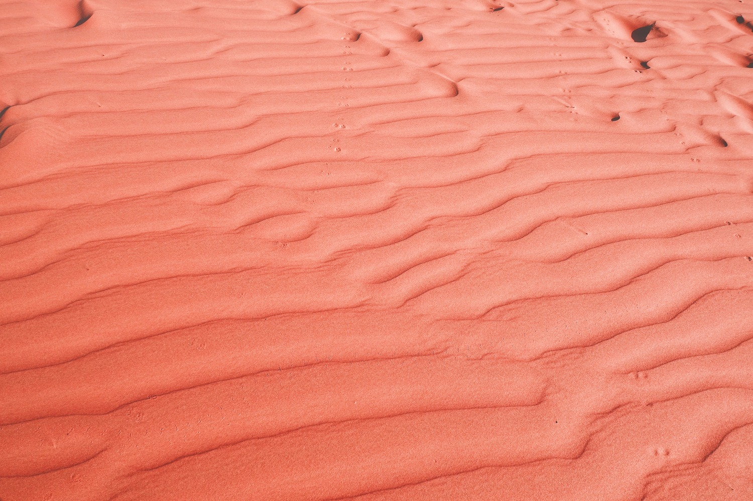Coral Pink Sand Dunes State Park - utah state parks